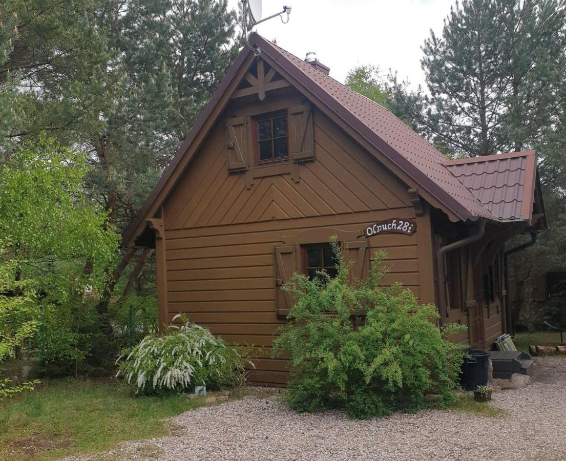 Vila Dom Wiktor Kaszuby Do 5 Os. Olpuch Exteriér fotografie